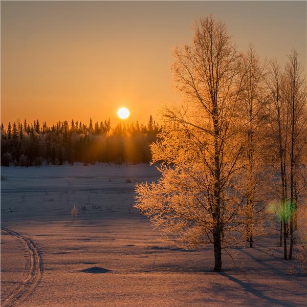 İzmir'den Kalkışlı 3 Gece 4 Gün Uçaklı ve Konaklamalı Noel Baba Köyü Gezisi Dahil Kuzey Işıklarının Büyüsü Lapland Macerası