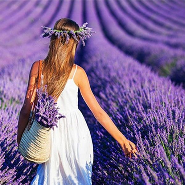 Günübirlik İzmir Çıkışlı Salda Gölü, Lavanta Bahçeleri Turu