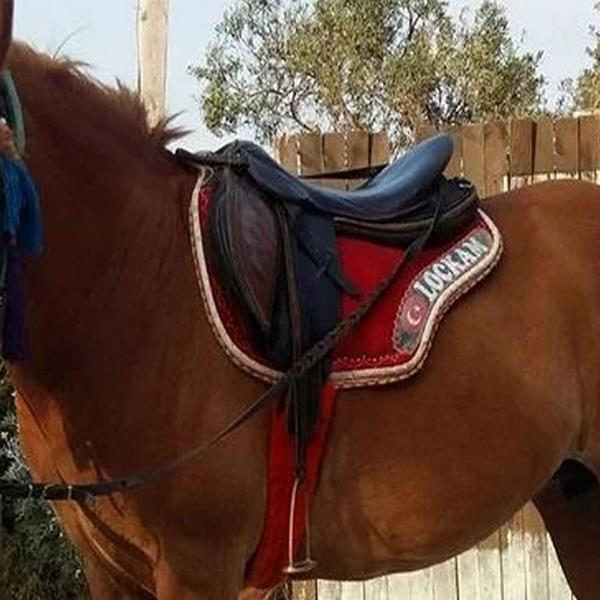 Urla Efşah Restaurant’da Doğa İçerisinde Serpme Kahvaltı Keyfi