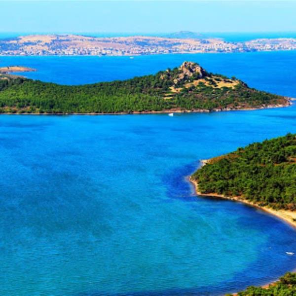 Günübirlik Ayvalık Tekne Turu Sınırsız Yemek Dahil 119 TL, İzmir Servisli 169,90 TL