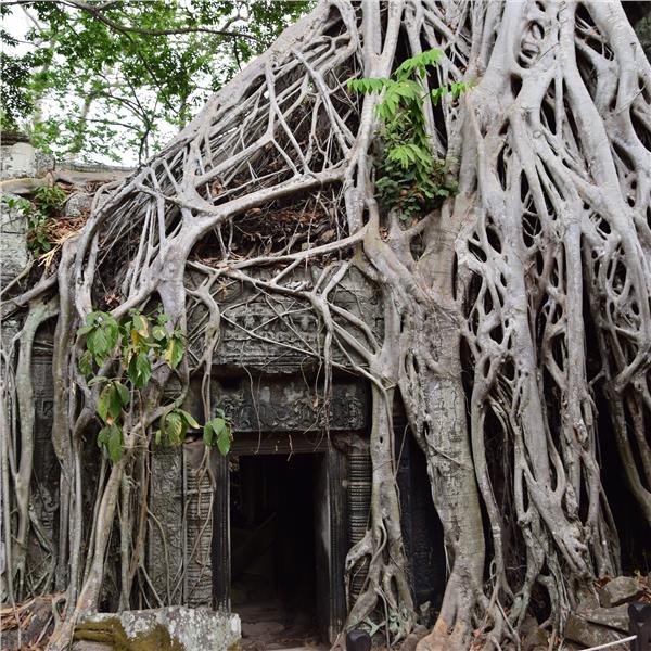 Uçaklı 9 Gece 11 Gün Konaklamalı Vietnam Kamboçya Laos Turu