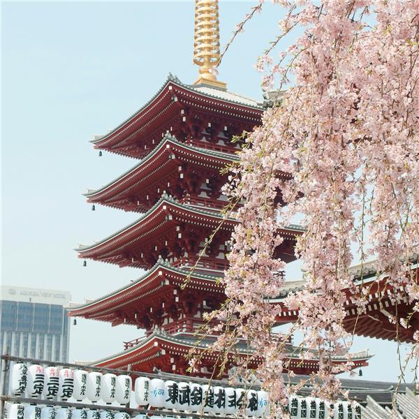 Uçaklı 6 Gece 9 Gün Konaklamalı Dolu Dolu Mistik Rotalar İle Japonya Turu