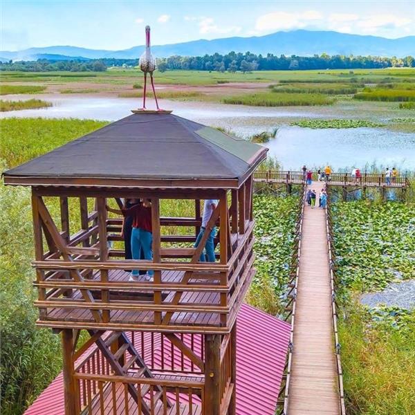 İzmir'den Otobüslü 1 Gece 2 Gün Konaklamalı Düzce Şelaleleri & Efteni Gölü & Akçakoca & Maşukiye Turu