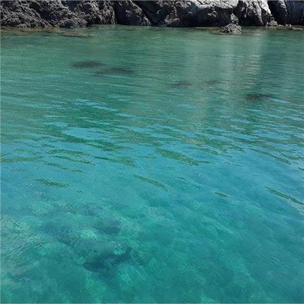 Günübirlik Çeşme Tekne Turu, Üstelik Öğle Yemeği Dahil, ulaşım seçenekli