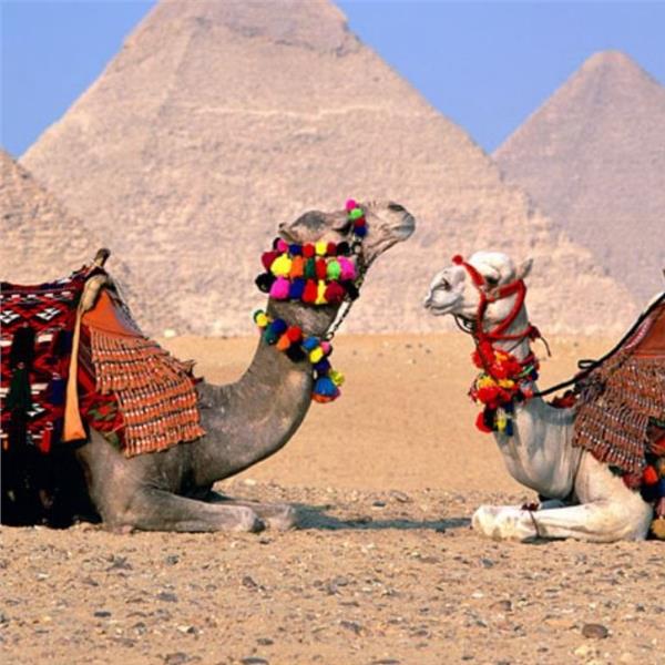 İstanbul'dan Uçaklı İle Kalkışlı 6 Gece 7 Gün Konaklamalı Hurghada ve Kahire Turu