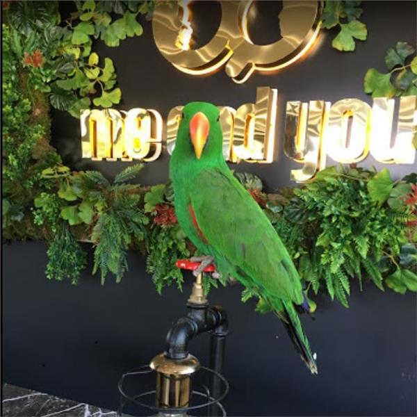 Gaziemir Me and You Serpme Kahvaltı ve Türk kahvesi