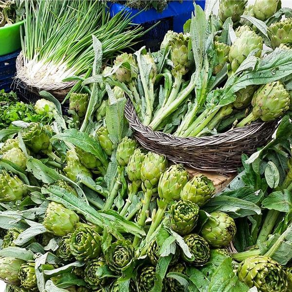 İzmir Çıkışlı Günübirlik Alaçatı Ot Festivali Turu