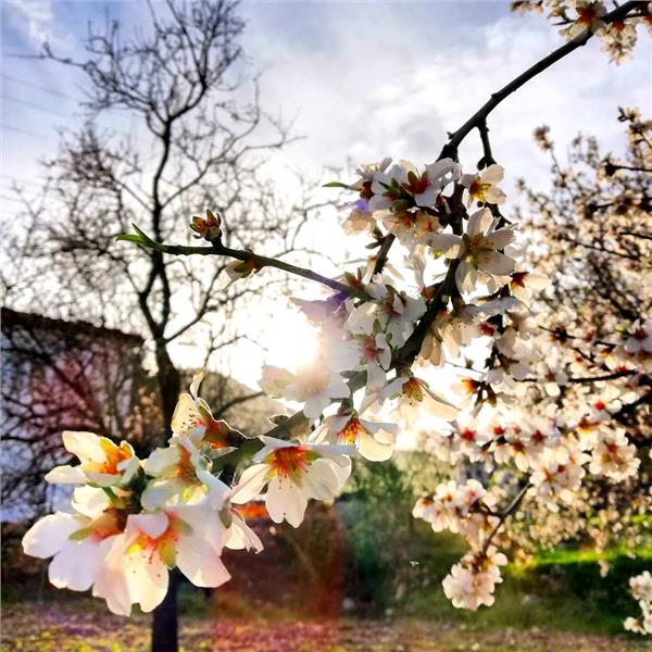İzmir Çıkışlı Günübirlik Datça, Marmaris Kız Kumu, Turgut Şelalesi Turu. Üstelik kahvaltı dahil