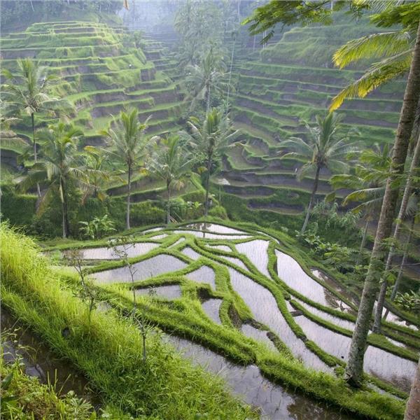 Uçaklı 7 Gece 10 Gün Konaklamalı Kuala Lumpur, Bali Ve Singapur Turu