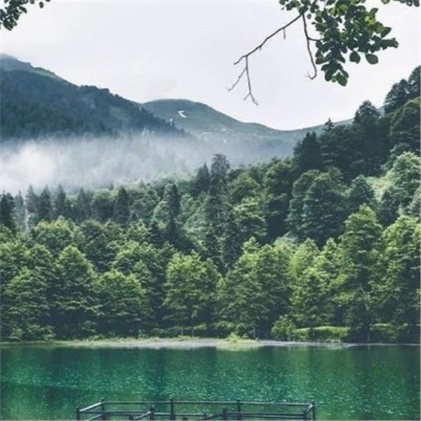 İzmir'den Hareketli 4 Gece 5 Gün Konaklamalı Yayla Yayla Doğu Karadeniz Turu