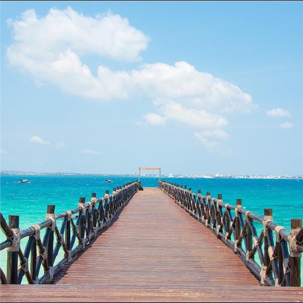 İzmir'den Uçaklı 6 Gece Konaklamalı 7 Gece 8 Gün Tropikal Cennet Zanzibar Ve Tanzanya Safari Turu