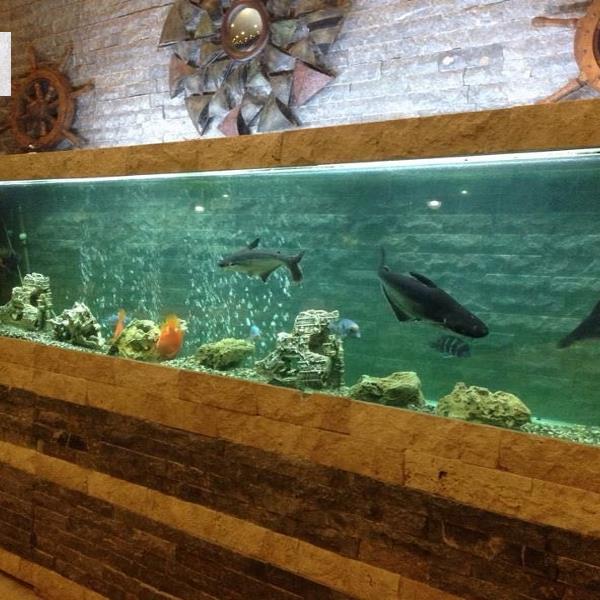 Zeytinalanı Kahvaltı