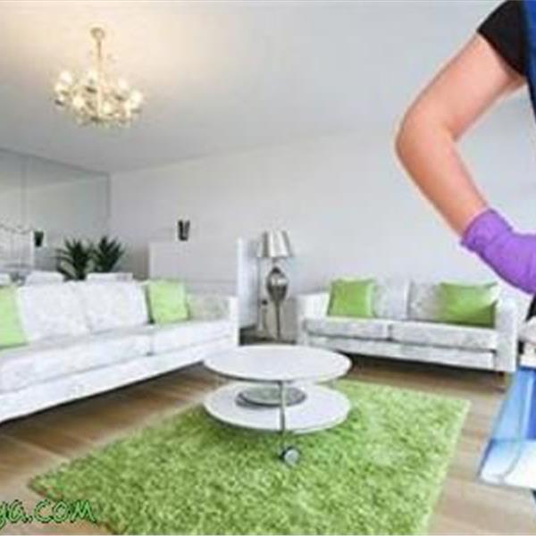 Profesyonel Tüm Gün Ev veya Ofis Temizliği