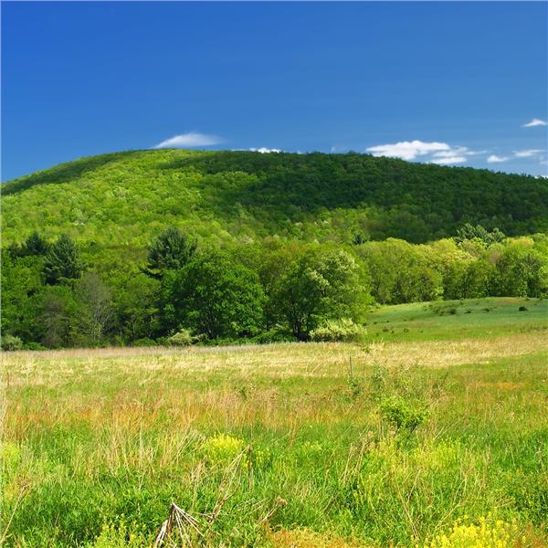 İzmir'den Uçaklı 6 Gece 7 Gün Konaklamalı Fransa İsviçre Almanya Rüyası Turu