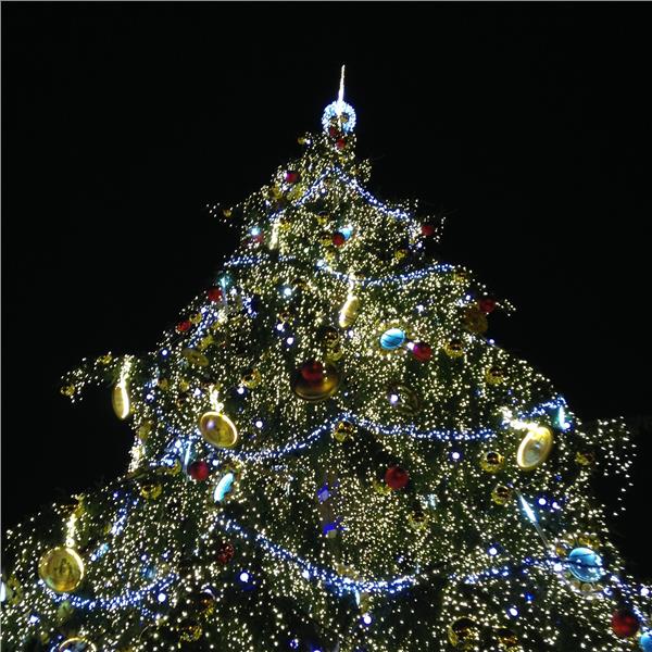 İzmir'den Uçaklı 3 Gece 4 Gün Konaklamalı Berlin, Dresden, Karlovy Vary ve Prag ile Noel Pazarları ve Yılbaşı Turu