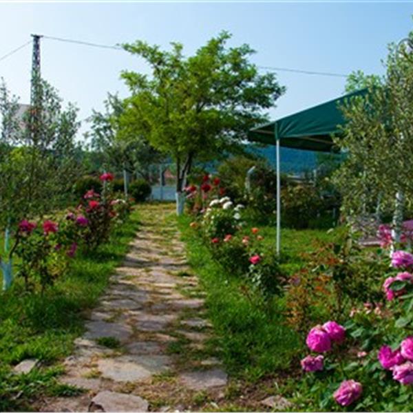 Foça Serpme Kahvaltı