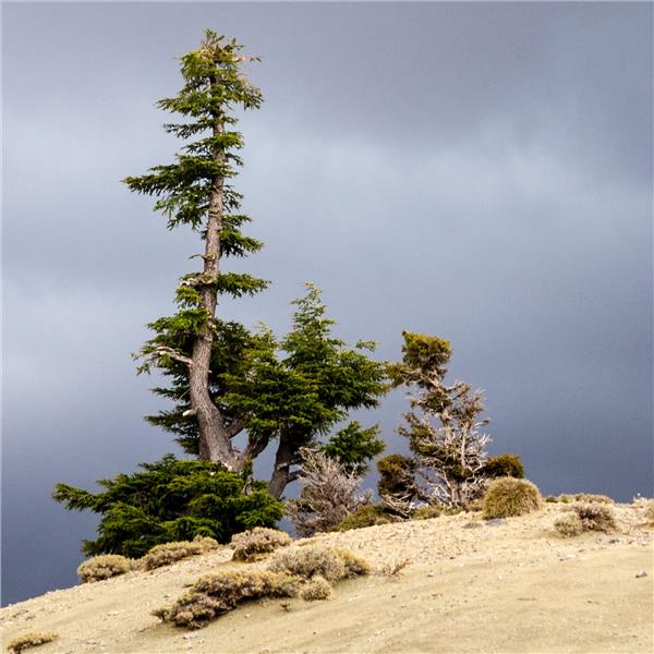 Uçak İle Hareketli 6 Gece 7 Gün Konaklamalı Fas Sahra Çölü ve Binbir Gece Masalları Turu