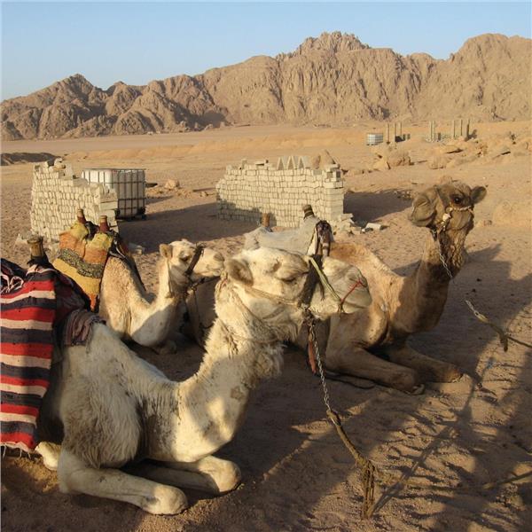 Uçaklı 4 Gece 5 Gün Konaklamalı Hotel Seçenekli Sharm El Sheıkh Turu