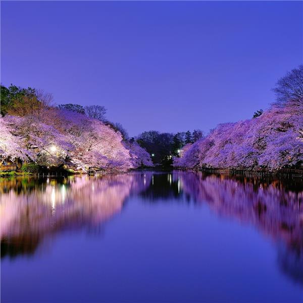 İzmir'den Uçak İle Kalkışlı 9 Gece 10 Gün Konaklamalı Japonya - Güney Kore Turu