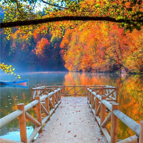 İzmir Çıkışlı 2 gece 3 gün Konaklamalı Şile, Ağva, Ormanya, Maşukiye, Abant, Sapanca Gölü, Yedigöller, Amasra ve Safranbolu ile Batı Karadeniz Turu