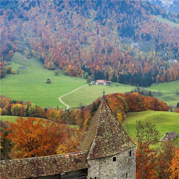 İzmir’den Uçaklı 3 Gece 4 Gün Konaklamalı Alsace & Colmar & Tren ile Alp Dağları Turu