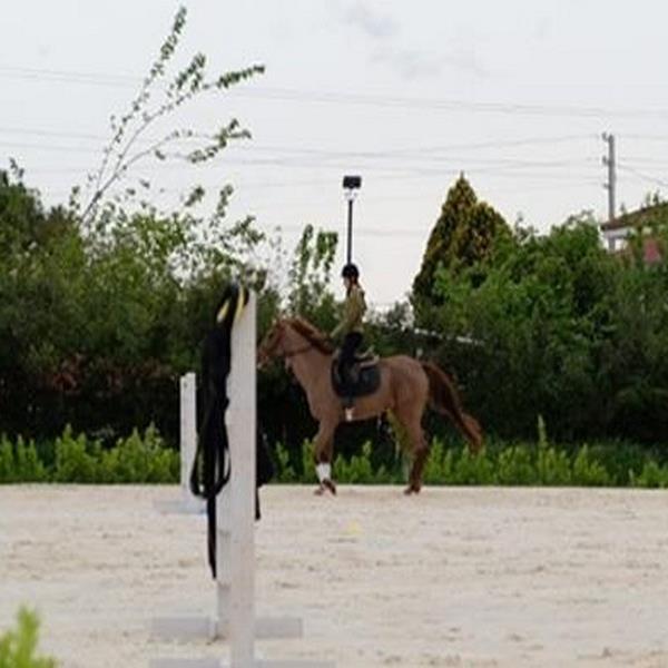 Menderes Atlı Spor Kulübü At Gezinti veya At Binme Eğitimi