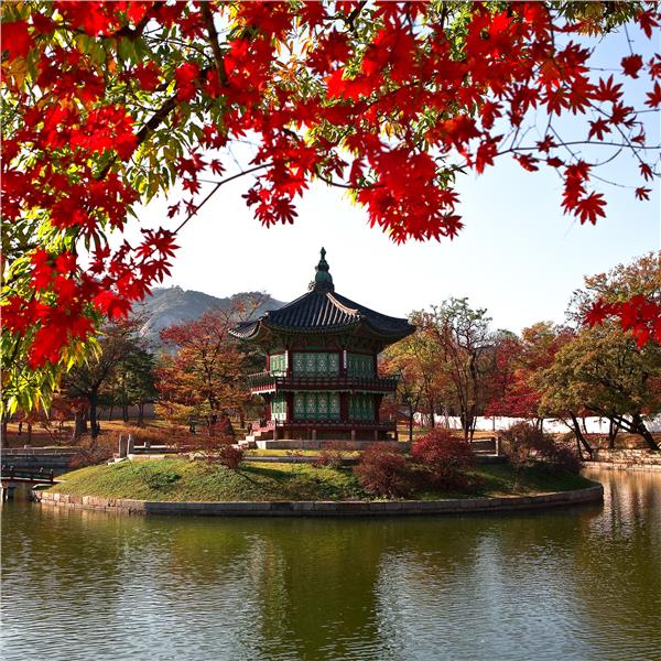 İzmir'den Uçak İle Kalkışlı 9 Gece 10 Gün Konaklamalı Japonya - Güney Kore Turu