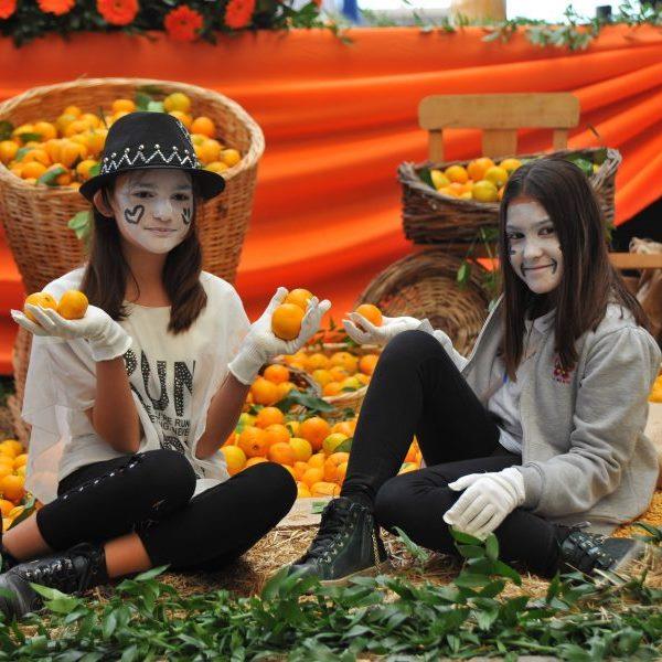 İzmir Çıkışlı Günübirlik Seferihisar Mandalina Festivali Turu.