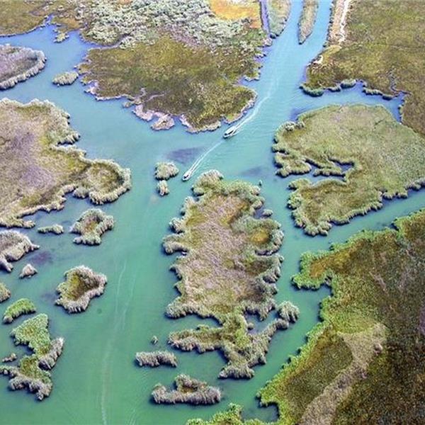 İzmir Çıkışlı günübirlik Dalyan, Kral Mezarları, İztuzu Plajı ve Çamur Banyosu Turu. Üstelik Kahvaltı ve Tekne turu dahil.