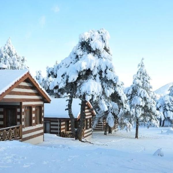 9 Şubat Pazar Nazarköy Kemalpaşa Kımız At Çiftliği, Spil Turu