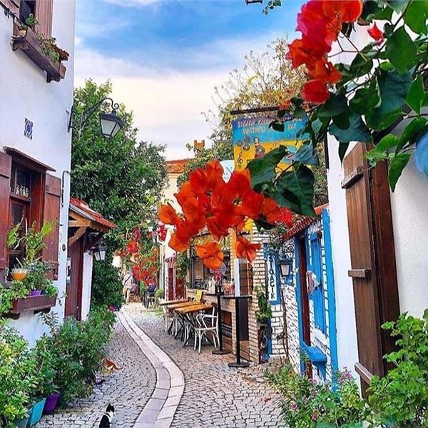 İzmir Çıkışlı Günübirlik Seferihisar Mandalina Festivali Turu.