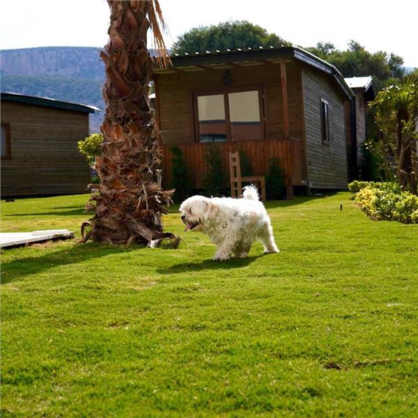 Mordoğan Aren Boutique Resort Hotel’de çift kişi açık büfe kahvaltı dahil konaklama seçenekleri