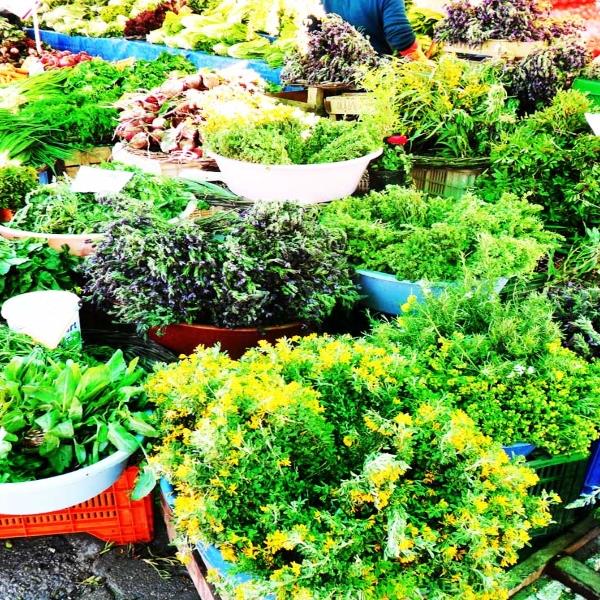 6 Nisan Cumartesi Günübirlik Alaçatı Ot Festivali, Balıklı Köşk, Germiyan, Ildırı Köyü Turu