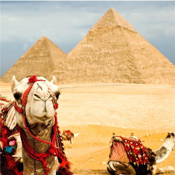 İzmir'den Hareketli Uçaklı ve 4 Gece 5 Gün 5 Yıldızlı Rixos Radamis Blue Planet Konaklamalı Sharm El Sheikh Turu