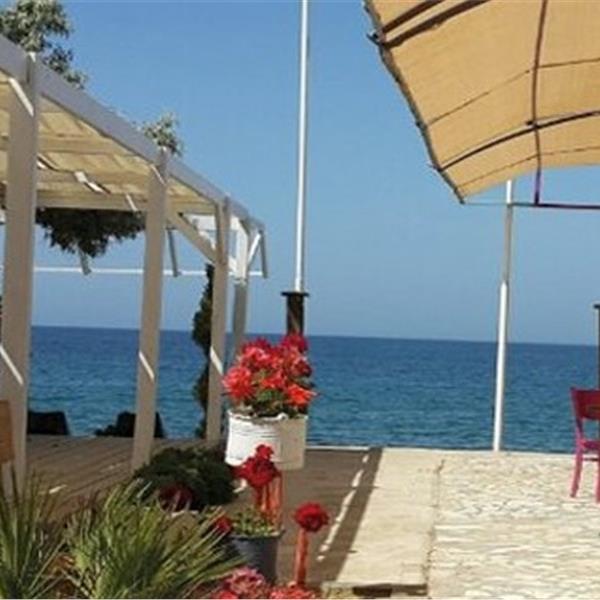 Teos Ormancı Tatil Köyü'nde Günlük Tesis Kullanımı