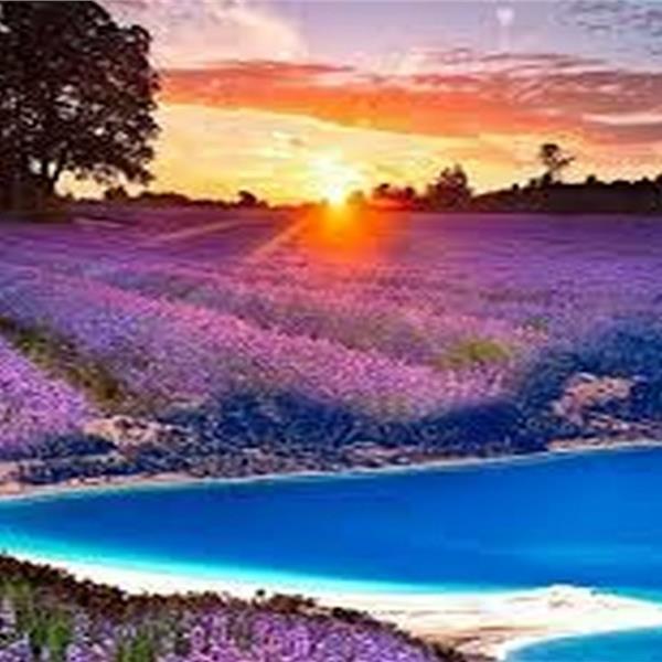 Günübirlik İzmir Çıkışlı Salda Gölü, Lavanta Bahçeleri Turu