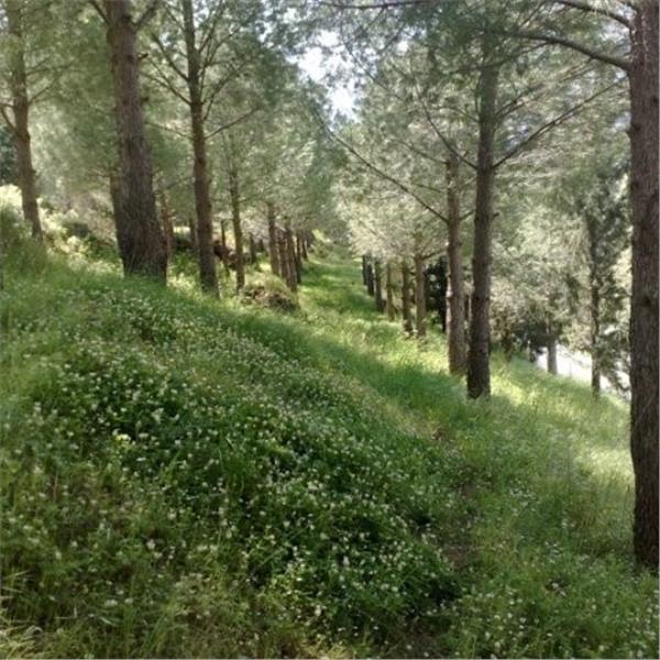 İzmir Çıkışlı Günübirlik Çiçekli Köy Kımız At Çiftliği Turu