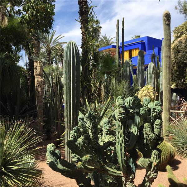 İstanbul'dan Uçak İle Hareketli 7 Gece 8 Gün Konaklamalı Elegant Sahra Çölü Ve Fas Turu