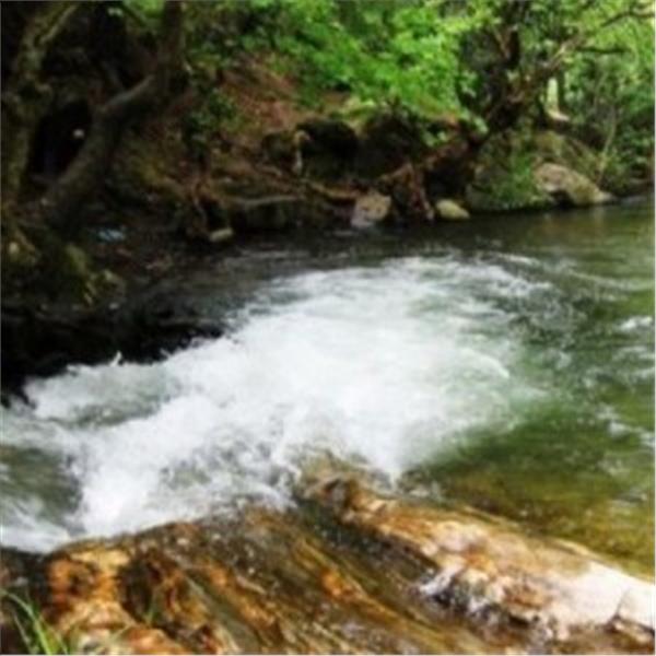 İzmir Çıkışlı Günübirlik Çiçekli Köy Kımız At Çiftliği Turu