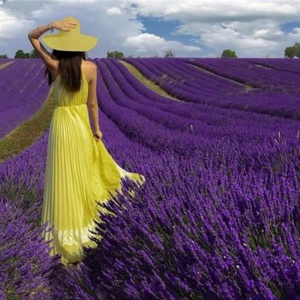 Günübirlik Lavanta Tarlaları ve Salda Gölü Turu