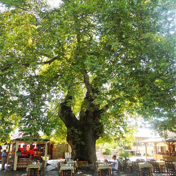 İzmir Çıkışlı 2 gece 3 gün Konaklamalı Akyaka, Kız Kumu, Bozburun, Selimiye ile Marmaris Turu
