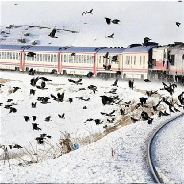 4 Gece 5 Gün Turistik Doğu Ekspresi Turu 