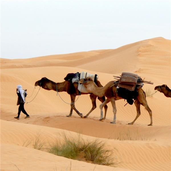 İstanbul'dan Uçak İle Hareketli 7 Gece 8 Gün Konaklamalı Elegant Sahra Çölü Ve Fas Turu