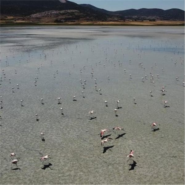 İzmir'den Kalkışlı Yılbaşı Özel 2 Gece 3 Gün 5* Hilton Garden Inn Isparta Konaklamalı Isparta Davraz Kayak Merkezi Turu