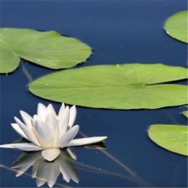 İzmir'den Otobüslü Günübirlik Afrodisias Antik Kenti ve Işıklı Göl Turu