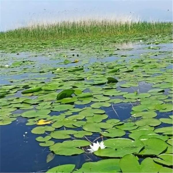 İzmir'den Otobüslü Günübirlik Afrodisias Antik Kenti ve Işıklı Göl Turu