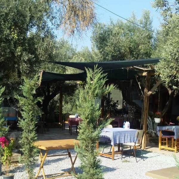 Şirince Zeytin Gölgesi Serpme Köy Kahvaltısı