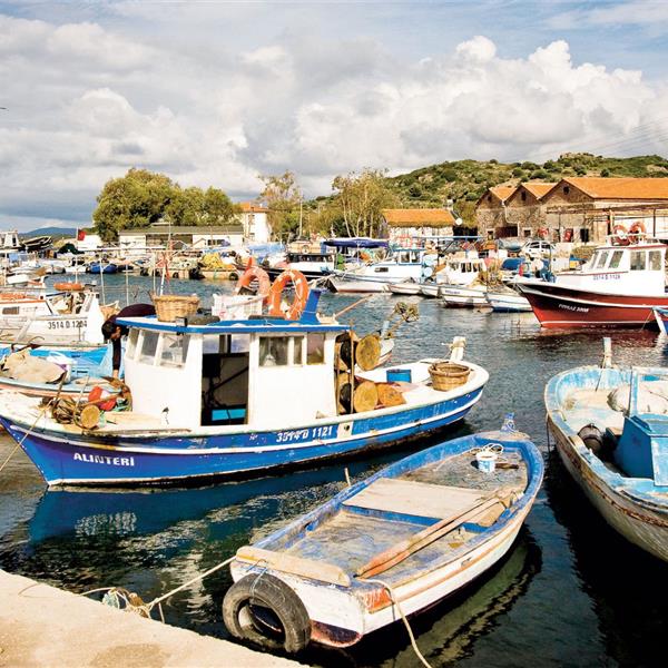 6 Nisan Cumartesi Günübirlik Alaçatı Ot Festivali, Balıklı Köşk, Germiyan, Ildırı Köyü Turu