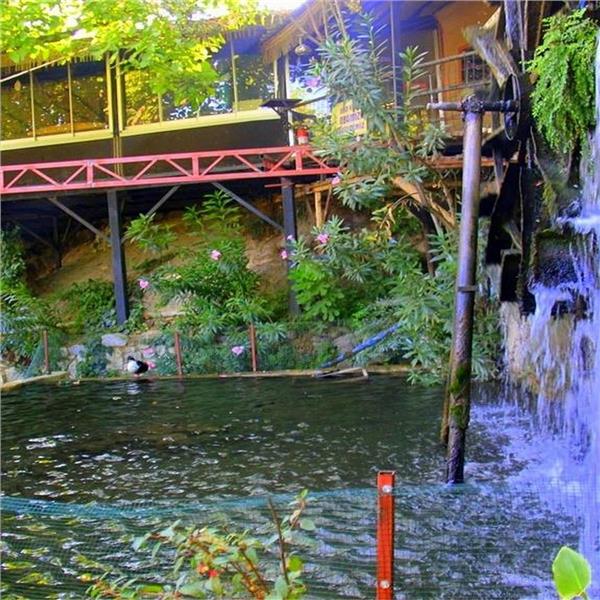 İzmir Kalkışlı 25 Eylül Cumartesi Günübirlik Tire İncir, Ceviz Festivali Turu