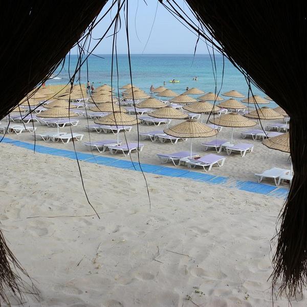 Çeşme Dharma Beach Club Giriş ve Menüler